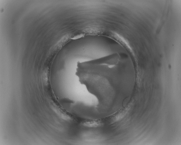 X0000066520065200603241347