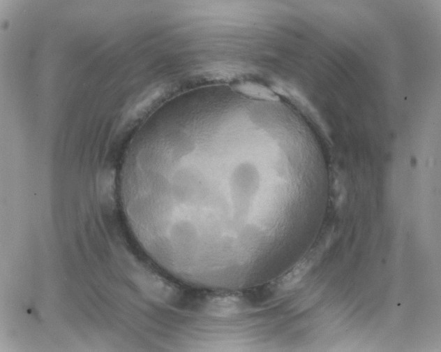 X0000066520066200603241347