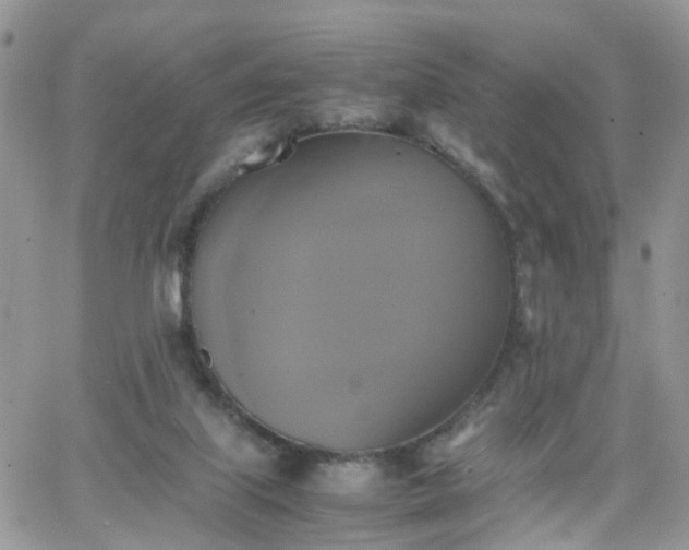 X0000066520067200603241347