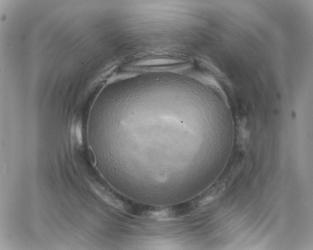 X0000066520068200603241347