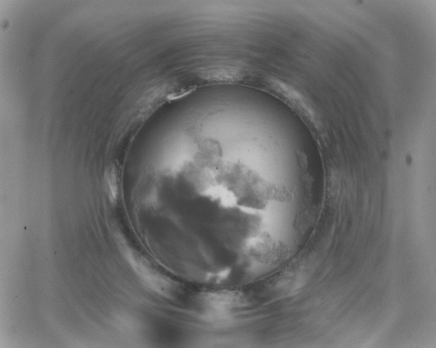 X0000066520069200603241347