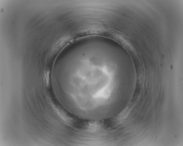 X0000066520070200603241347