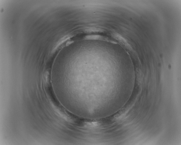 X0000066520071200603241347