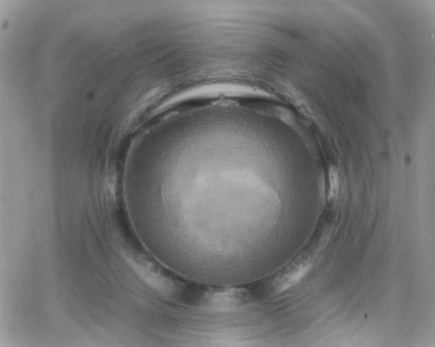 X0000066520072200603241347