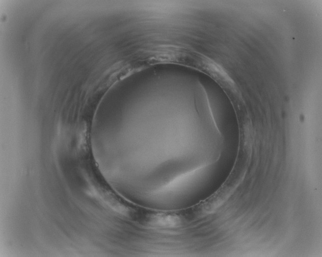 X0000066520073200603241347