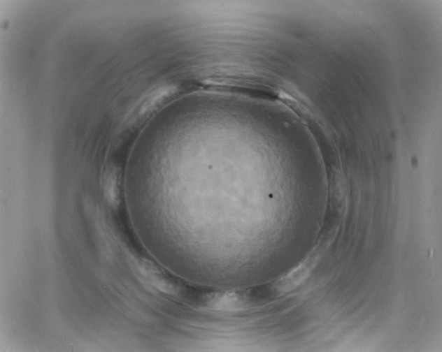 X0000066520074200603241347