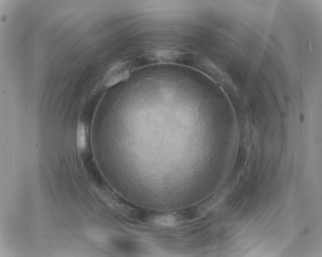 X0000066520075200603241347