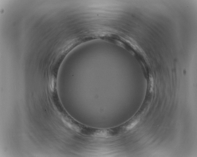 X0000066520076200603241347