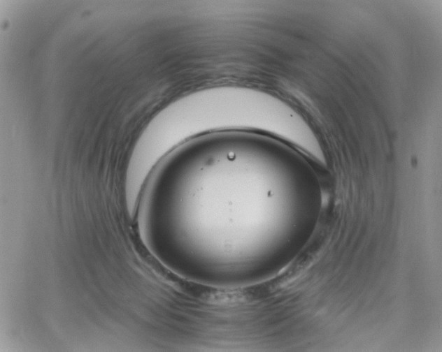 X0000066520077200603241347