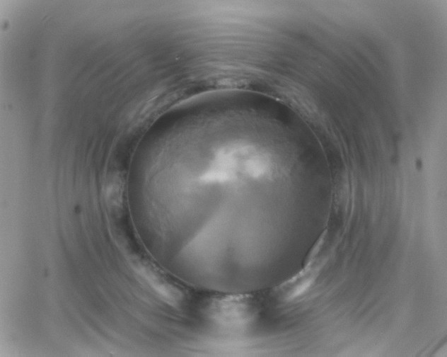 X0000066520078200603241347