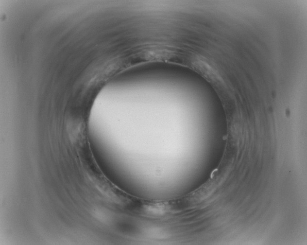 X0000066520079200603241347