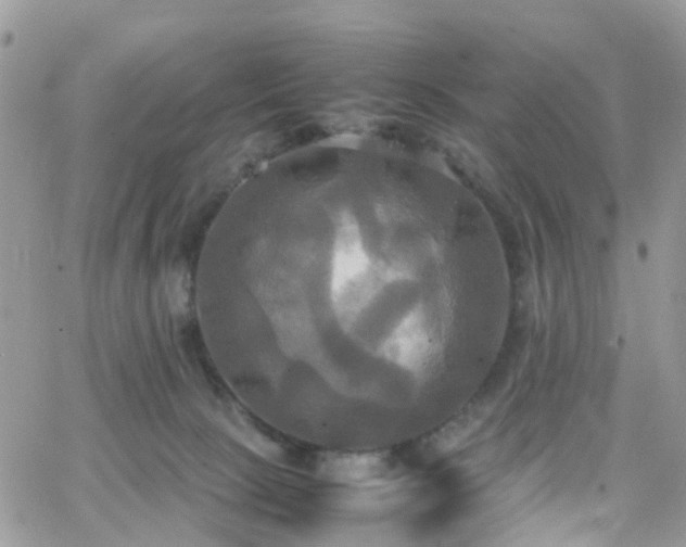 X0000066520081200603241347