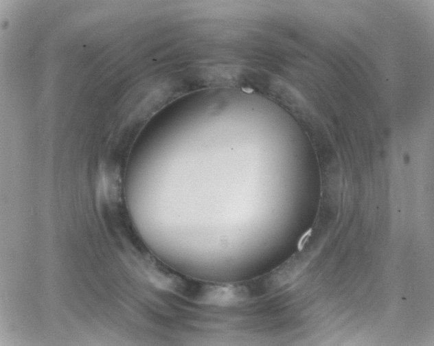 X0000066520083200603241347