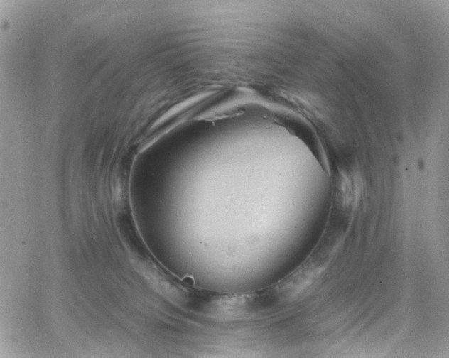 X0000066520084200603241347