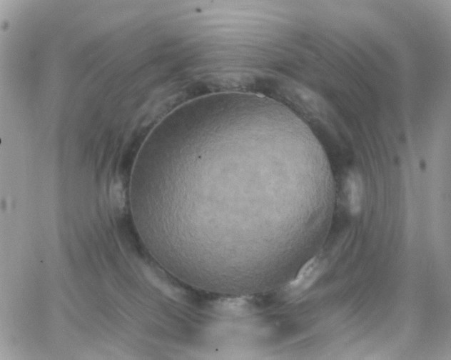 X0000066520086200603241347