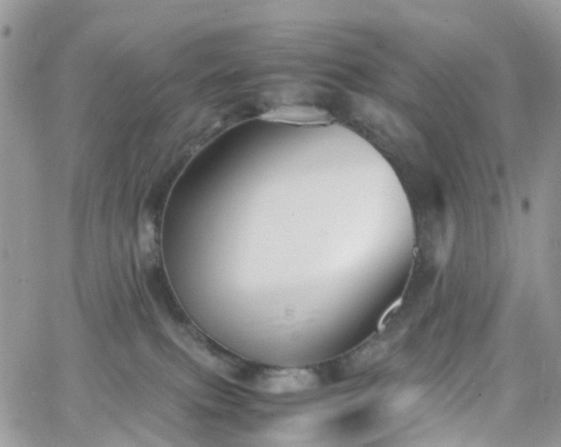 X0000066520087200603241347