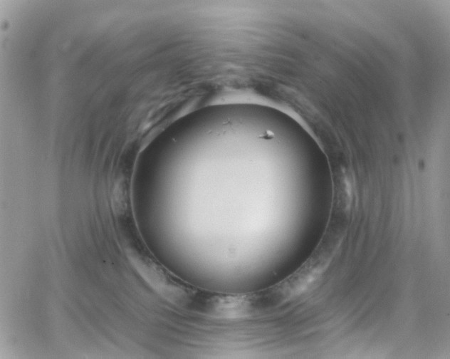 X0000066520088200603241347