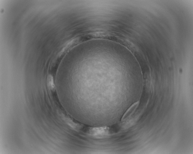 X0000066520089200603241347