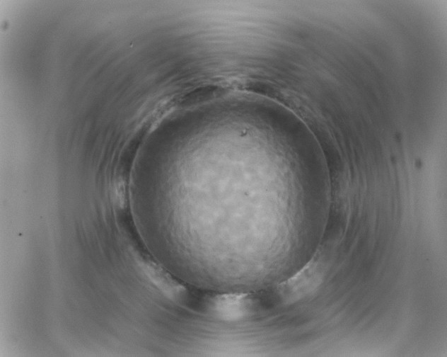 X0000066520090200603241347