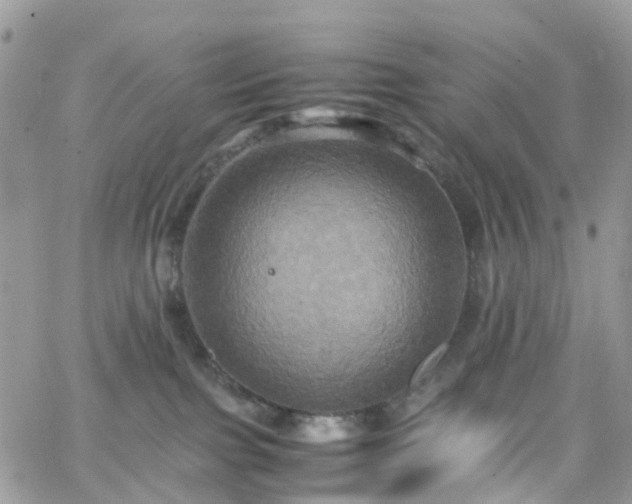 X0000066520091200603241347