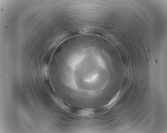 X0000066520094200603241347