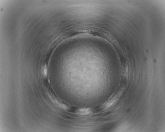 X0000066520095200603241347