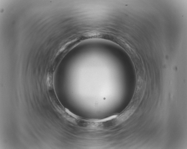 X0000066520096200603241347