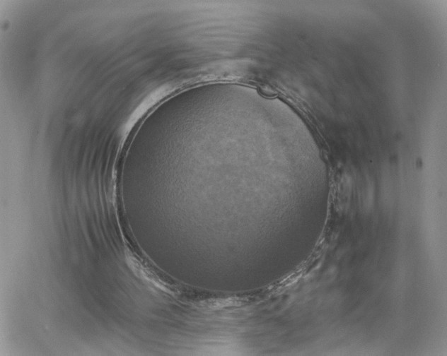 X0000066520100200603241346