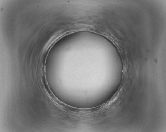 X0000066520101200603241346