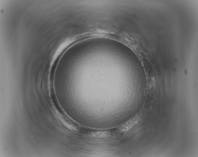 X0000066520102200603241346