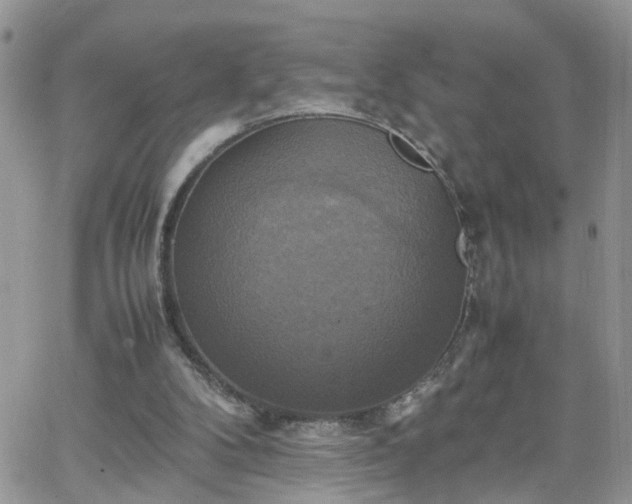 X0000066520104200603241346