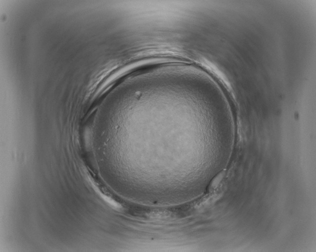 X0000066520105200603241346