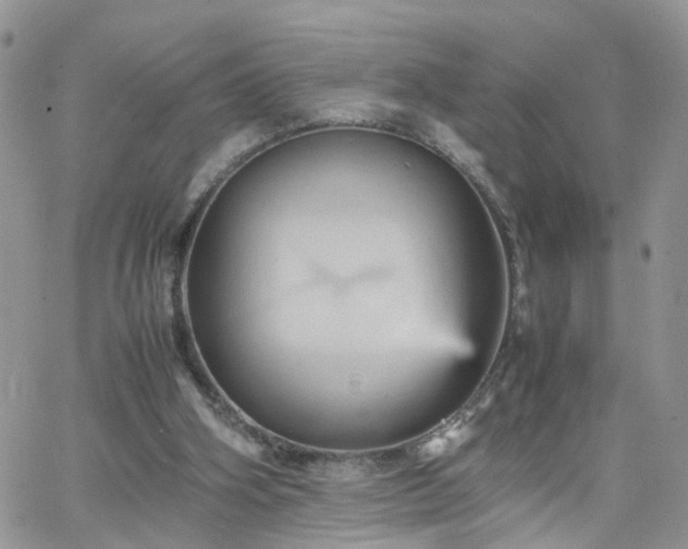 X0000066520106200603241346