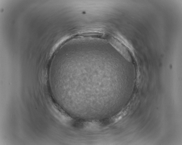 X0000066520107200603241346