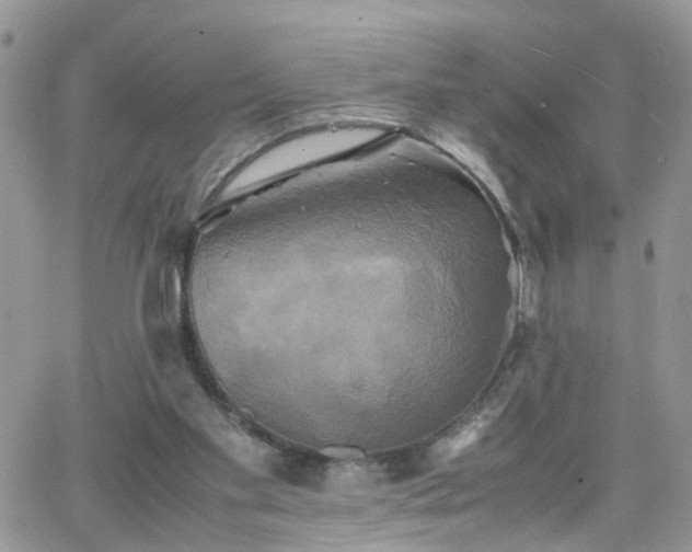 X0000066520109200603241346