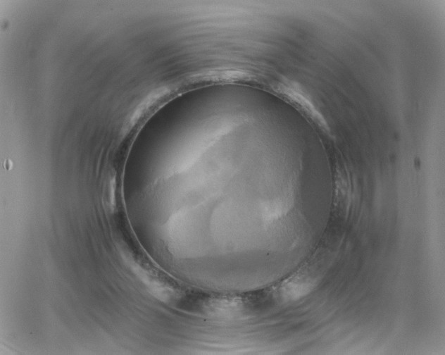 X0000066520110200603241346