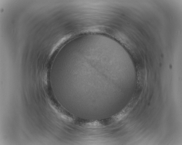 X0000066520112200603241346