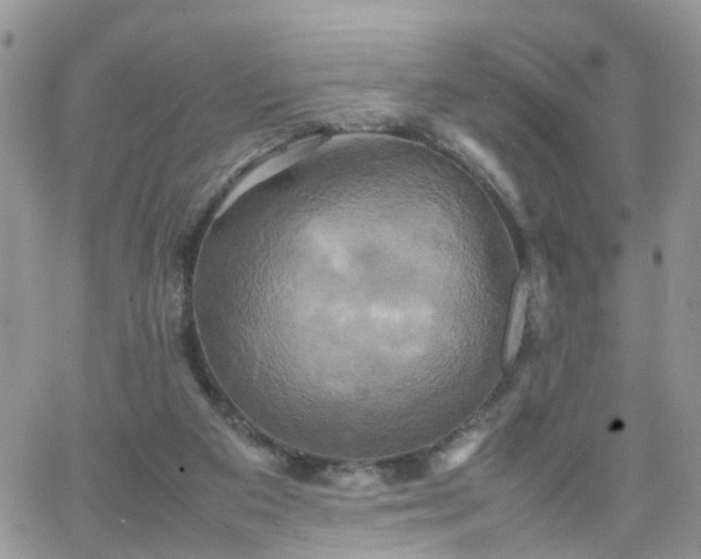 X0000066520113200603241346