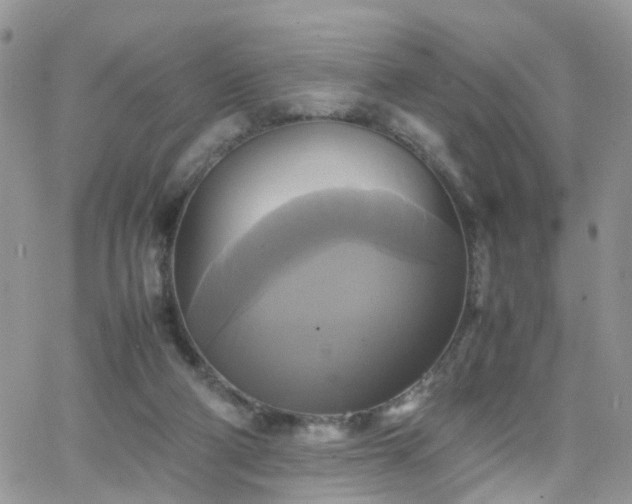 X0000066520114200603241346