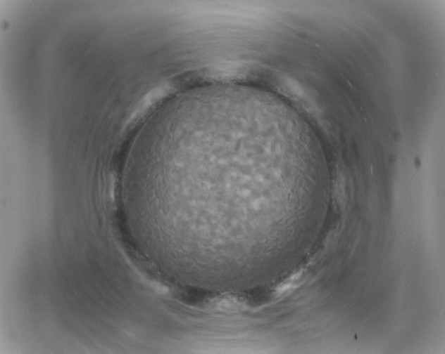 X0000066520115200603241346