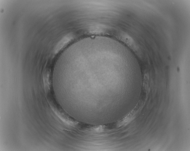 X0000066520116200603241346