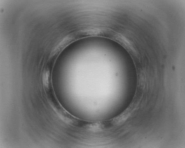 X0000066520118200603241346