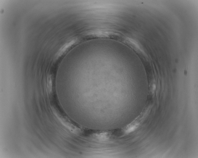 X0000066520120200603241346