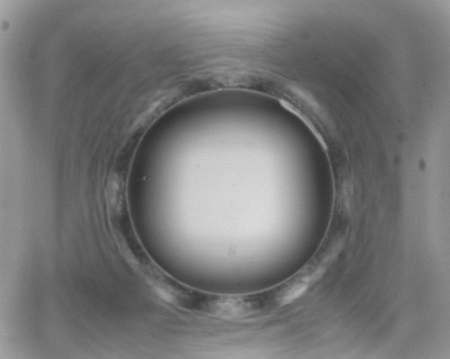 X0000066520121200603241346