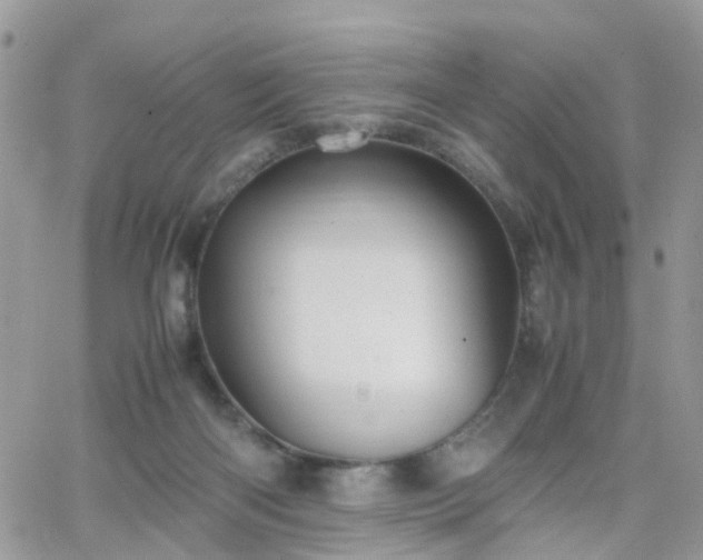 X0000066520122200603241346