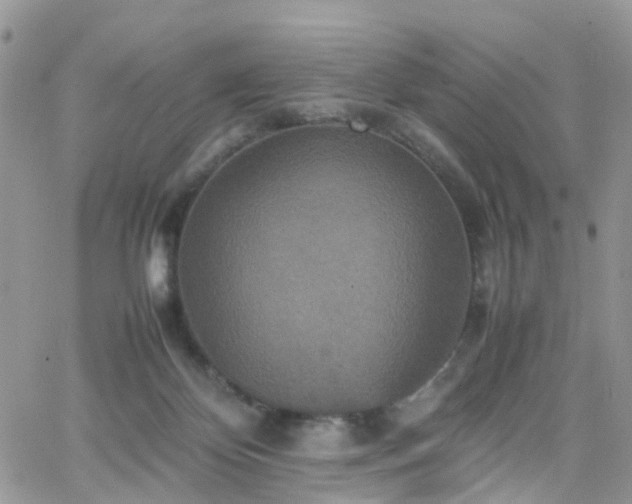 X0000066520124200603241346