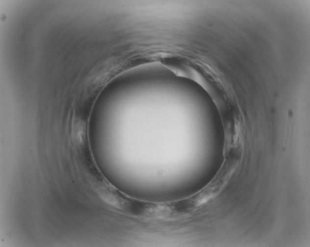 X0000066520125200603241346