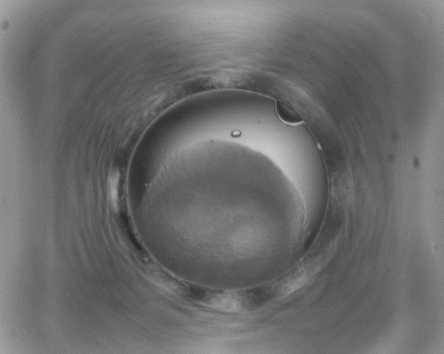 X0000066520127200603241346