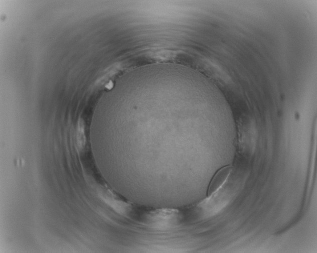 X0000066520128200603241346