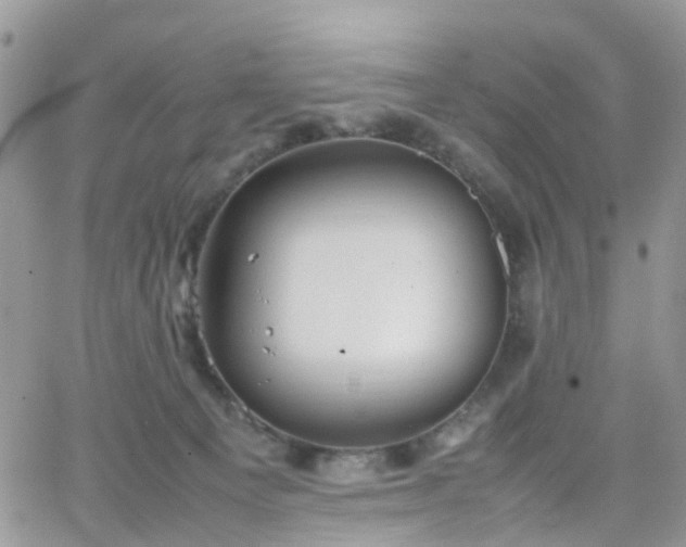 X0000066520129200603241346